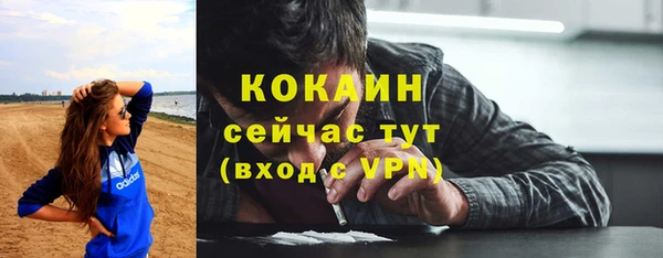 таблы Снежногорск
