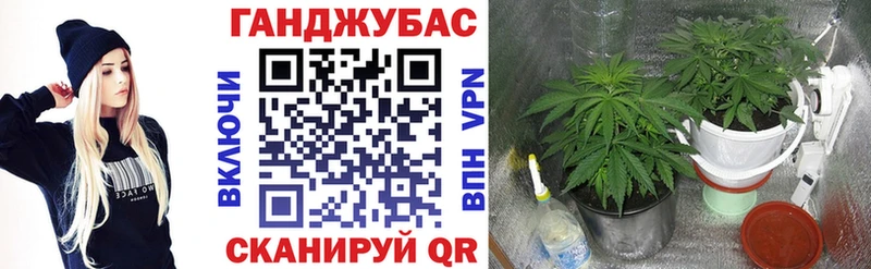как найти наркотики  Иннополис  Конопля марихуана 